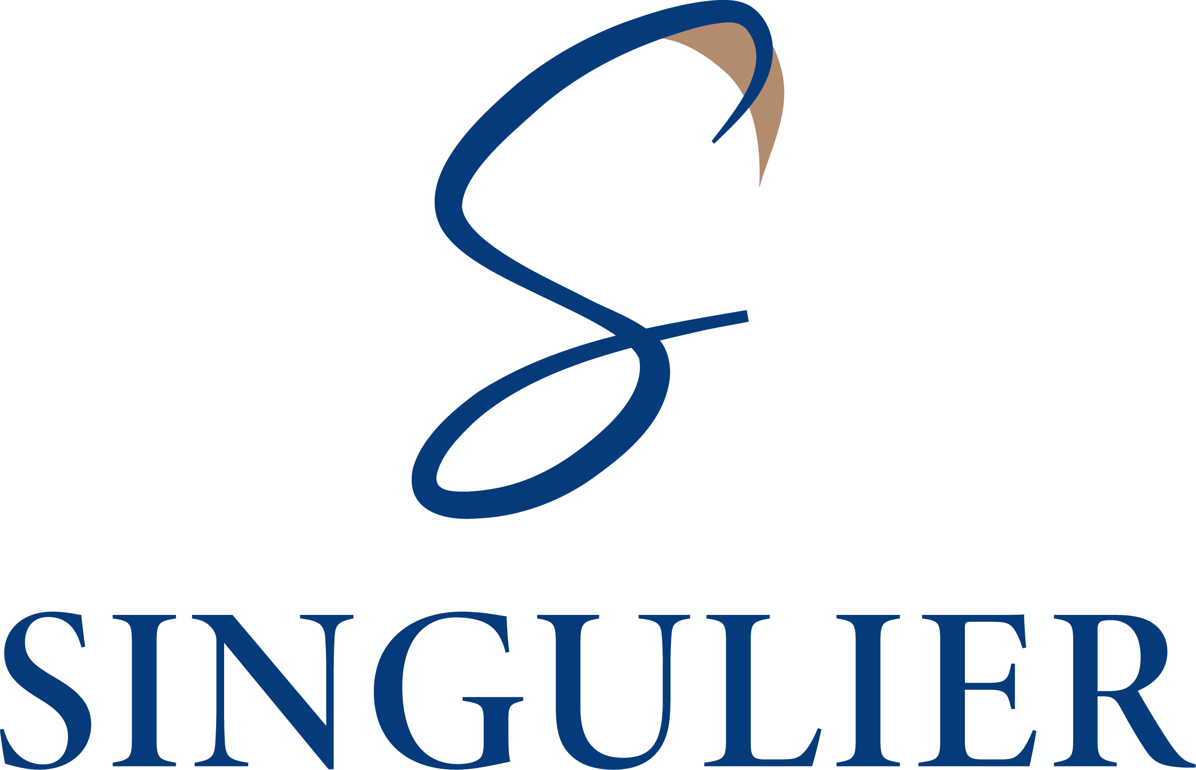 Logo Singulier
